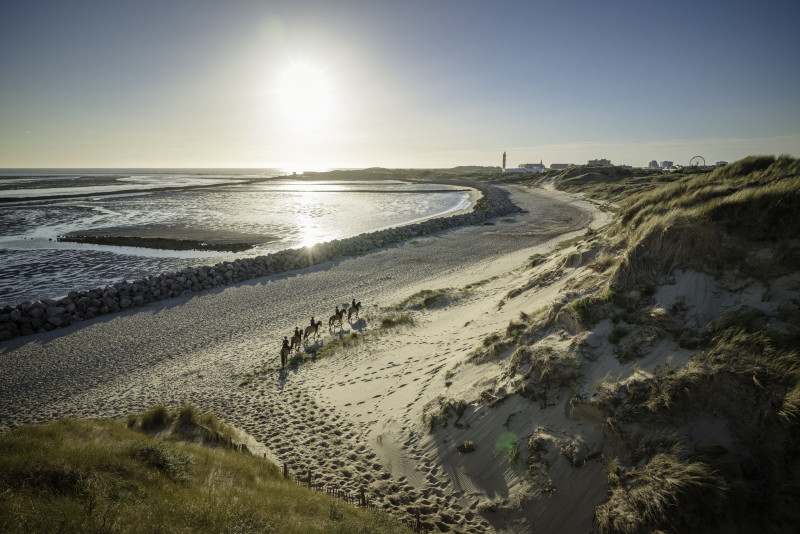 Espace Equestre Henson