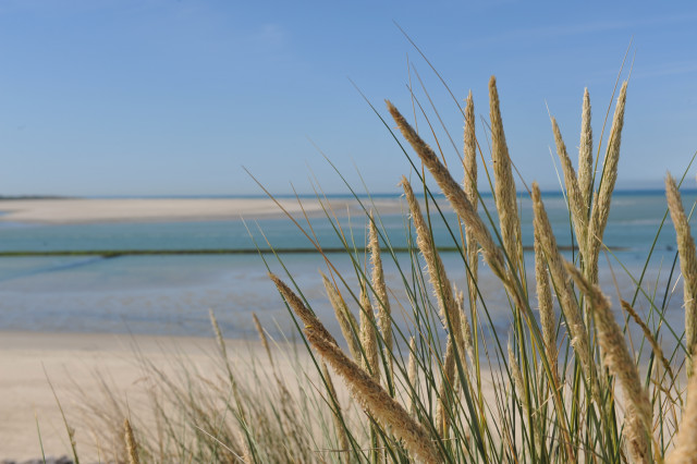 baie-d-authie-1-188