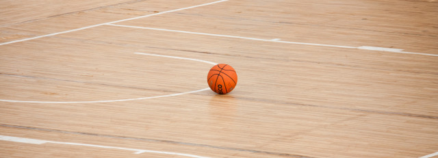 ballon-basket-2026-95-212 ballon-basket-2026-95-212
